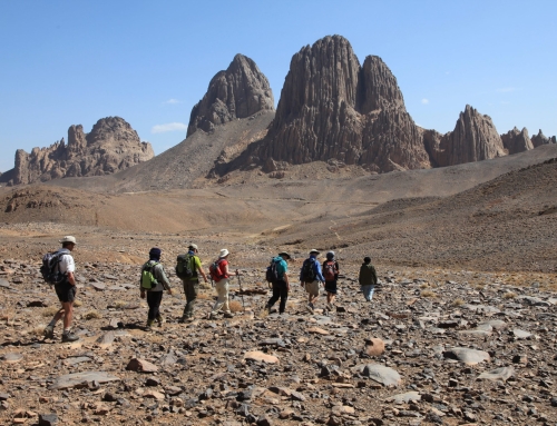 Three Decades of Adventure: KE and Adventurize